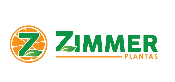 Zimmer